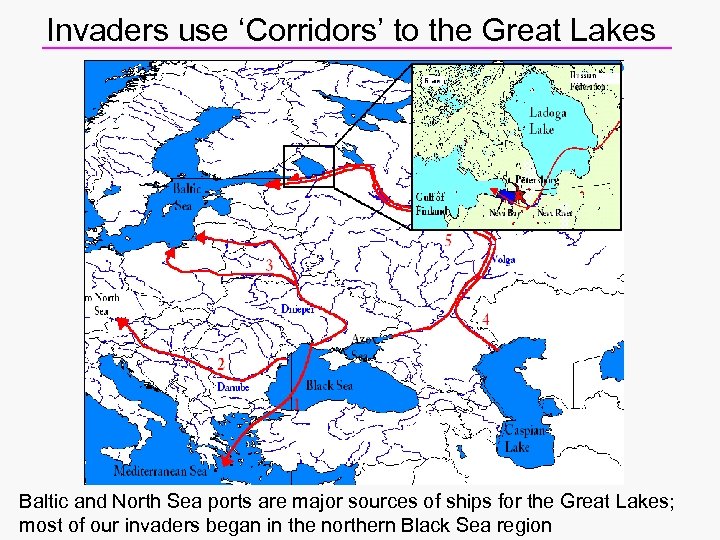 Invaders use ‘Corridors’ to the Great Lakes Baltic and North Sea ports are major