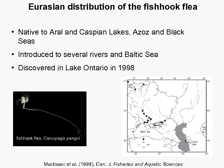Eurasian distribution of the fishhook flea • Native to Aral and Caspian Lakes, Azoz