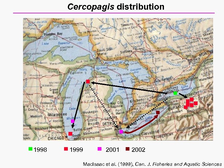 Cercopagis distribution 1998 1999 2001 2002 Mac. Isaac et al. (1999), Can. J. Fisheries