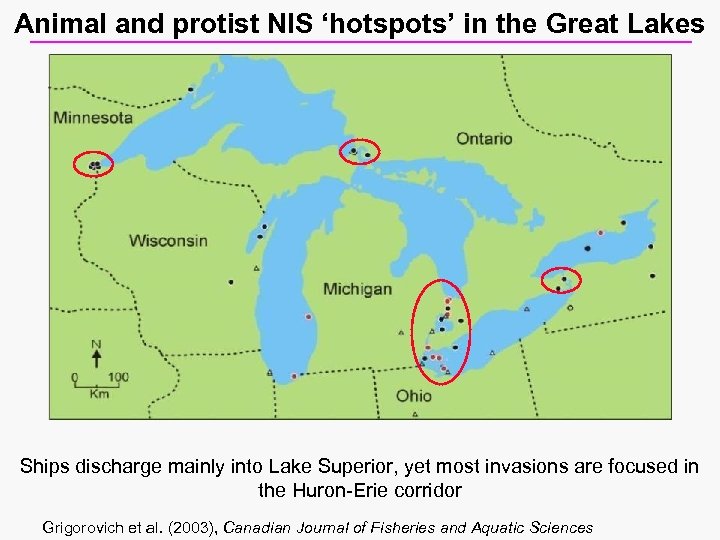 Animal and protist NIS ‘hotspots’ in the Great Lakes Ships discharge mainly into Lake