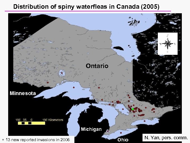 Distribution of spiny waterfleas in Canada (2005) Ontario Minnesota Michigan + 13 new reported