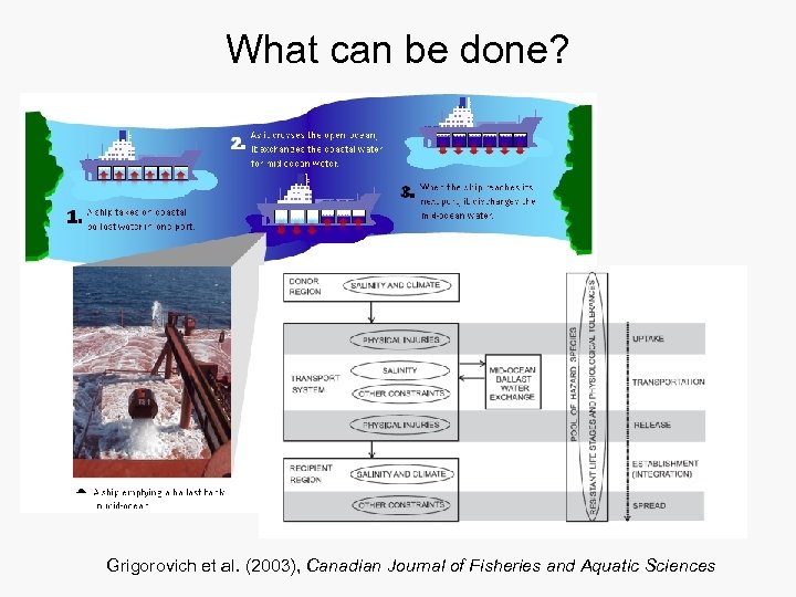 What can be done? Grigorovich et al. (2003), Canadian Journal of Fisheries and Aquatic