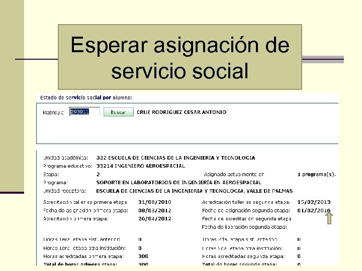 Esperar asignación de servicio social 