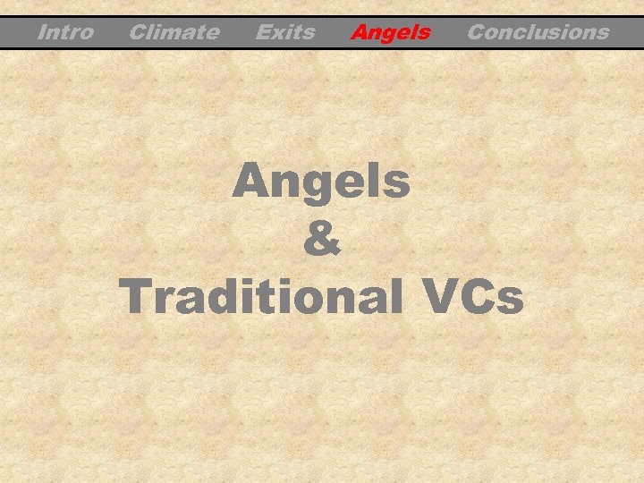 Intro Climate Exits Angels Conclusions Angels & Traditional VCs 