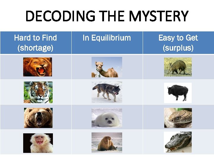 DECODING THE MYSTERY Hard to Find (shortage) In Equilibrium Easy to Get (surplus) 