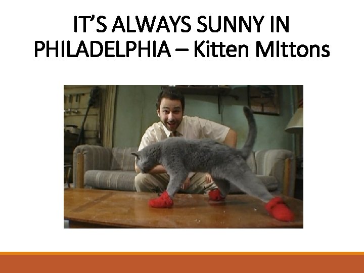 IT’S ALWAYS SUNNY IN PHILADELPHIA – Kitten MIttons 