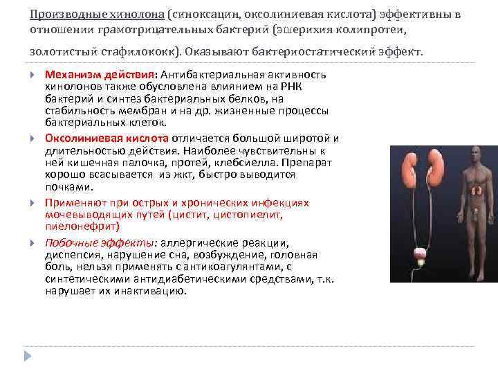 Производные хинолона (синоксацин, оксолиниевая кислота) эффективны в отношении грамотрицательных бактерий (эшерихия колипротеи, золотистый стафилококк).