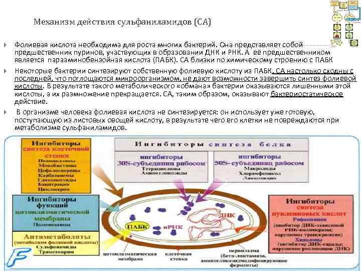 Кислоты механизм действия