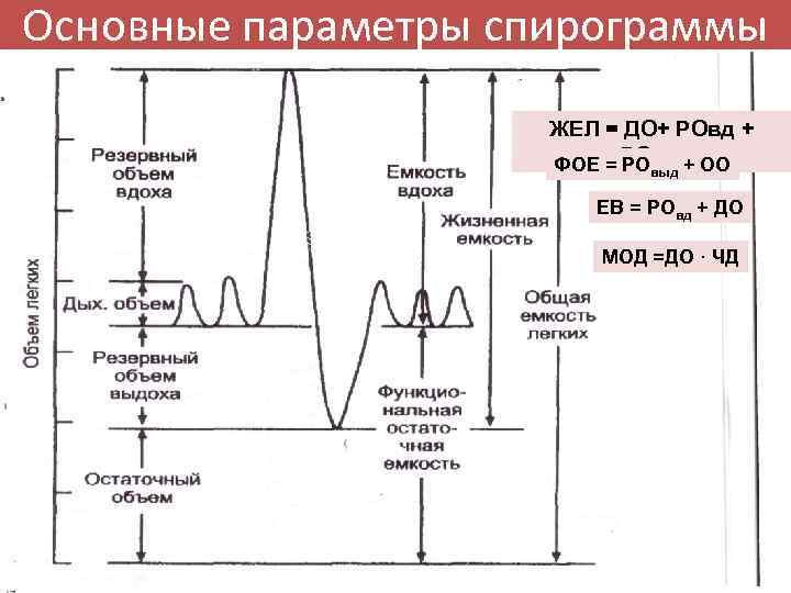 Основные параметры спирограммы ЖЕЛ = ДО+ РОвд + ФОЕ = РОвыд+ ОО РО выд