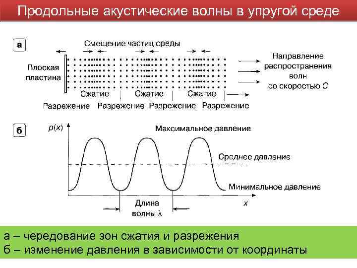 Продольные акустические волны в упругой среде а – чередование зон сжатия и разрежения б