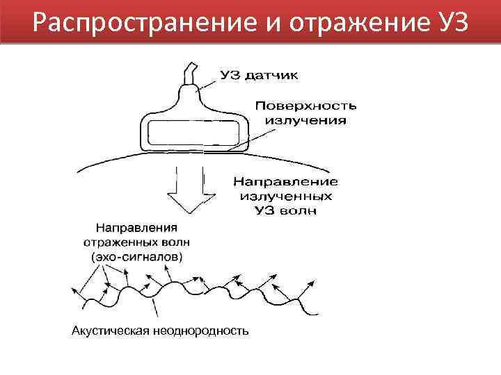 Распространение и отражение УЗ Акустическая неоднородность 