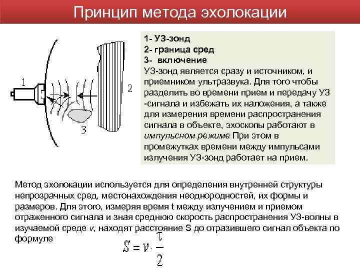 Принцип метода эхолокации 1 - УЗ-зонд 2 - граница сред 3 - включение УЗ-зонд