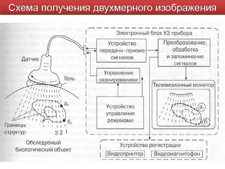 Схема получения двухмерного изображения 