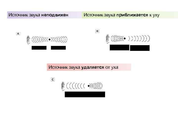 Источник звука неподвижен Источник звука приближается к уху Источник звука удаляется от уха 