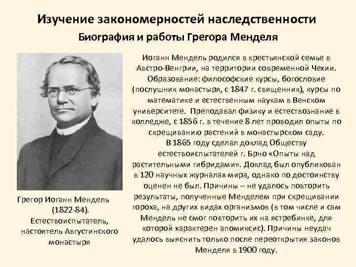 Изучение закономерностей. Грегор Мендель сообщение по биологии. Мендель генетика ученые. Грегор Мендель биография. Мендель биография.