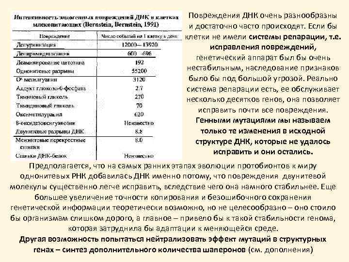 Повреждения ДНК очень разнообразны и достаточно часто происходят. Если бы клетки не имели системы