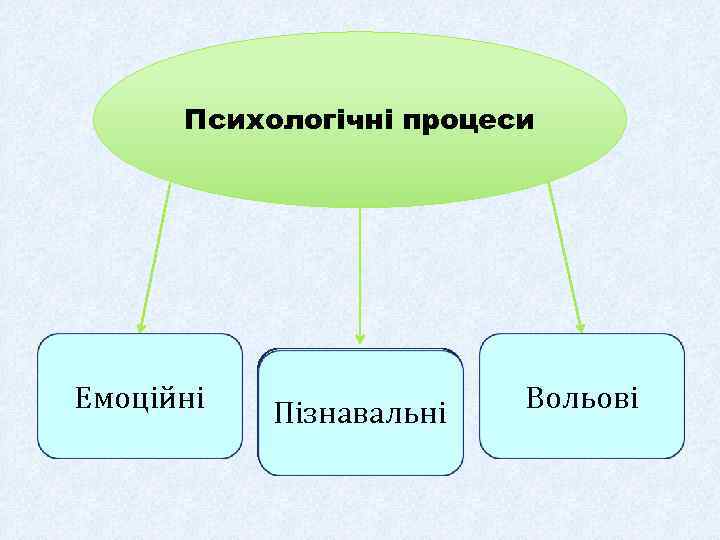 Психологічні процеси Емоційні Пізнавальні Вольові 