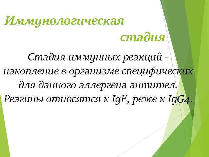 Иммунологическая стадия Стадия иммунных реакций накопление в организме специфических для данного аллергена антител. Реагины