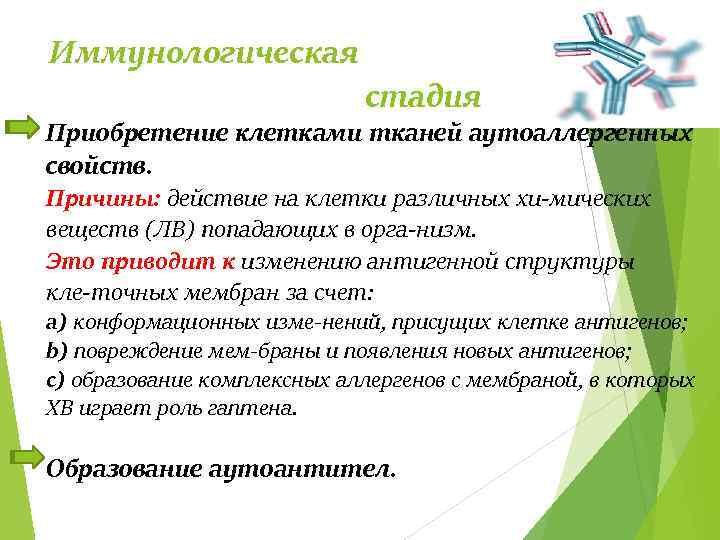 Иммунологическая стадия Приобретение клетками тканей аутоаллергенных свойств. Причины: действие на клетки различных хи мических