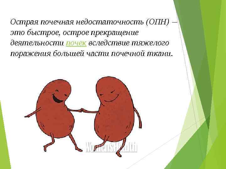 Острая почечная недостаточность (ОПН) — это быстрое, острое прекращение деятельности почек вследствие тяжелого поражения