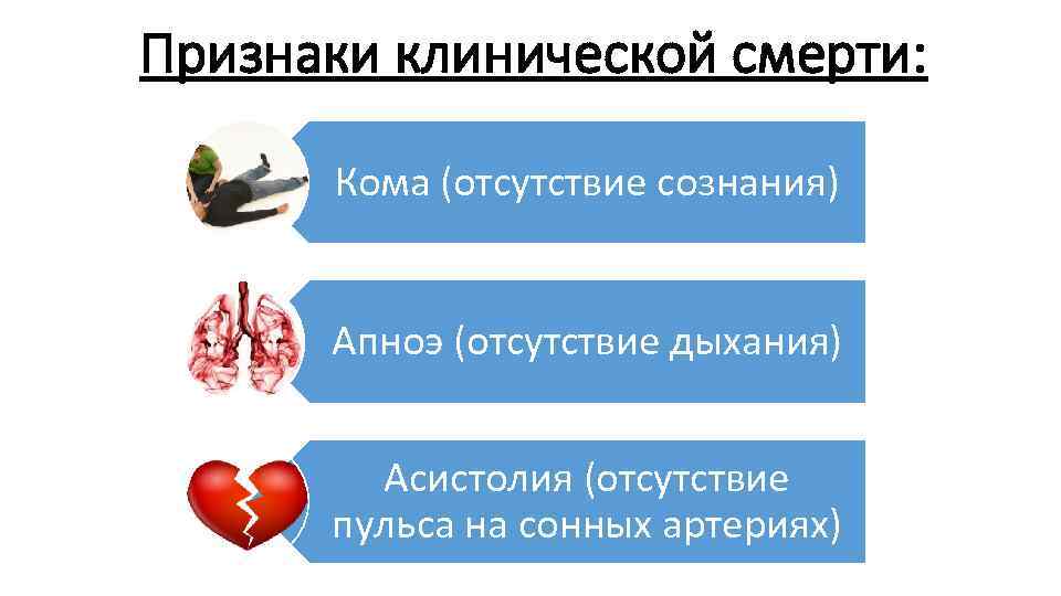 Признаки клинической смерти: Кома (отсутствие сознания) Апноэ (отсутствие дыхания) Асистолия (отсутствие пульса на сонных