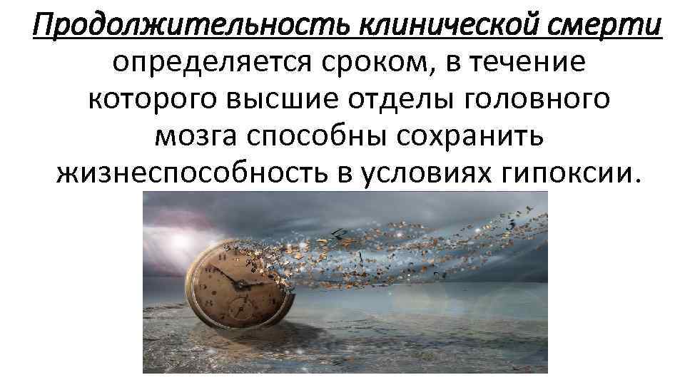 Продолжительность клинической смерти определяется сроком, в течение которого высшие отделы головного мозга способны сохранить