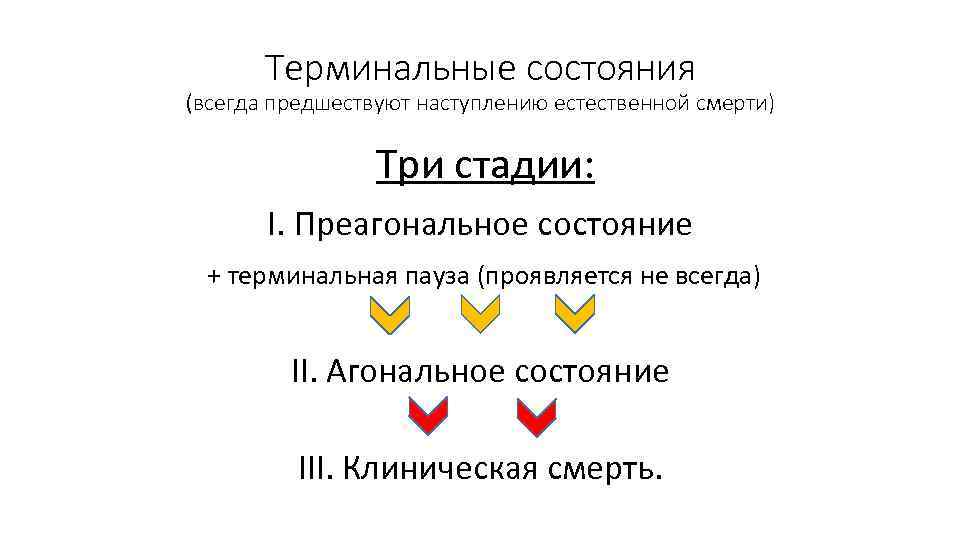 Терминальные состояния (всегда предшествуют наступлению естественной смерти) Три стадии: I. Преагональное состояние + терминальная
