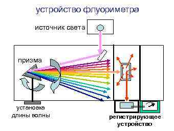 устройство флуориметра источник света призма установка длины волны регистрирующее устройство 