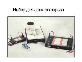 Набор для электрофореза 