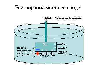 Растворение металла в воде - 1, 2 м. В Двойной электрически й слой Fe