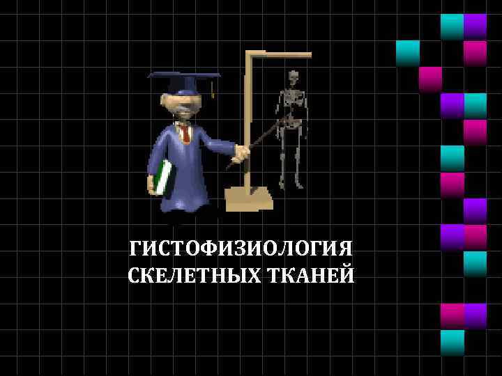 ГИСТОФИЗИОЛОГИЯ СКЕЛЕТНЫХ ТКАНЕЙ 