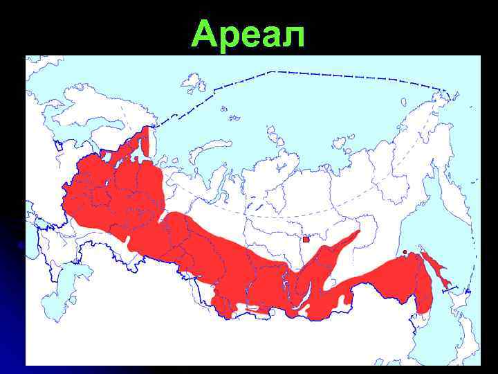 Ареал 