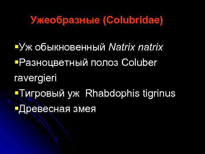 Ужеобразные (Colubridae) §Уж обыкновенный Natrix natrix §Разноцветный полоз Coluber ravergieri §Тигровый уж Rhabdophis tigrinus