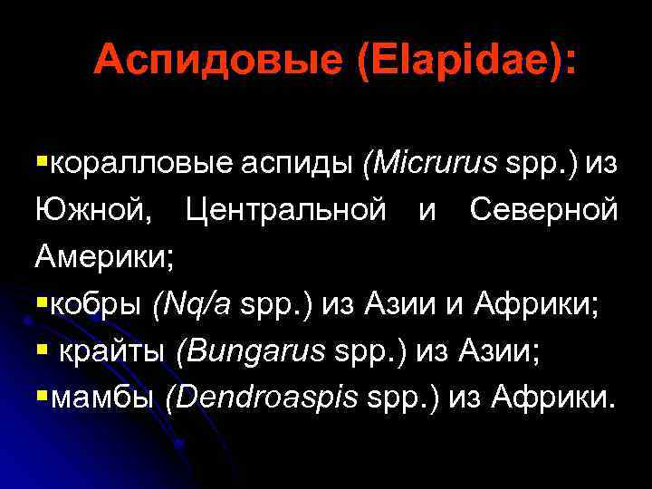Аспидовые (Elapidae): §коралловые аспиды (Micrurus spp. ) из Южной, Центральной и Северной Америки; §кобры