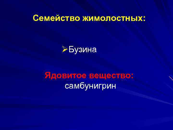 Семейство жимолостных: ØБузина Ядовитое вещество: самбунигрин 