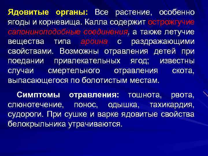 Ядовитые органы: Все растение, особенно ягоды и корневища. Калла содержит острожгучие сапониноподобные соединения, а