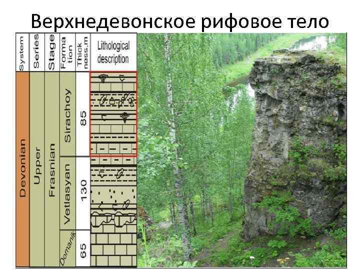 Верхнедевонское рифовое тело 28 
