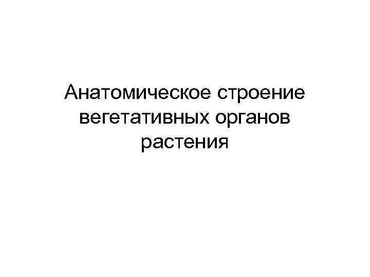 Анатомическое строение вегетативных органов растения 
