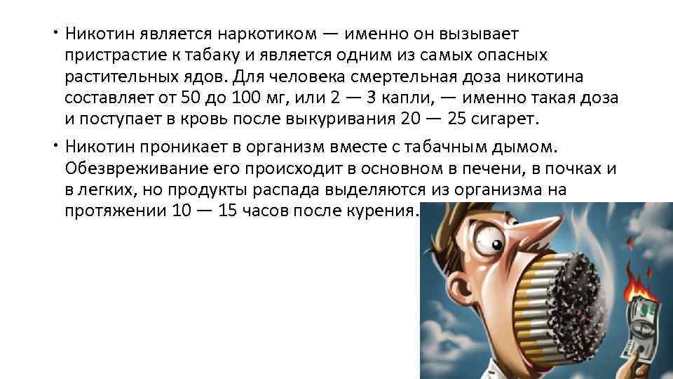  Никотин является наркотиком — именно он вызывает пристрастие к табаку и является одним