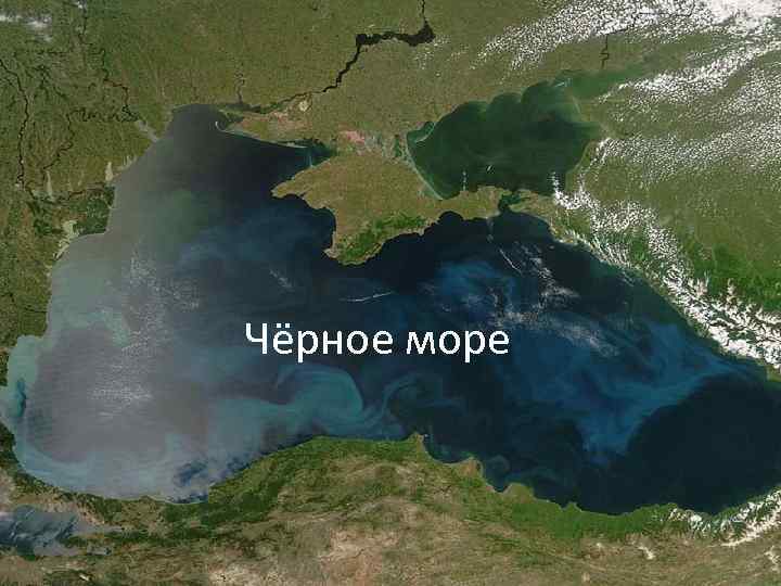 Чёрное море 