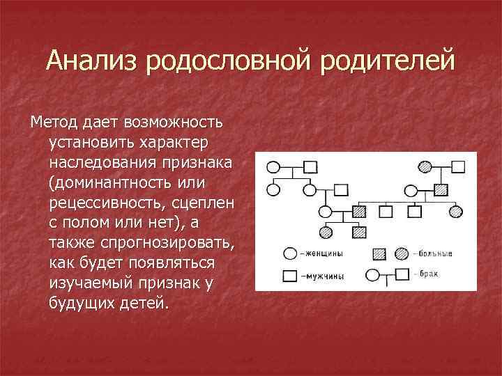 Анализ родословной родителей Метод дает возможность установить характер наследования признака (доминантность или рецессивность, сцеплен