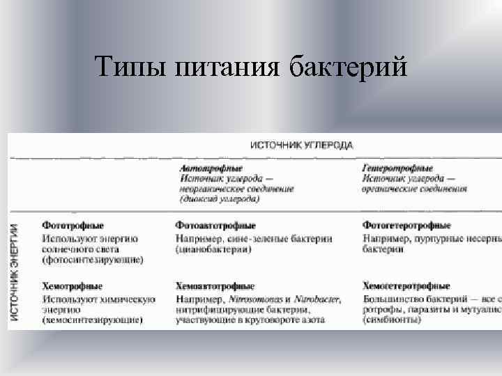 Типы питания бактерий 