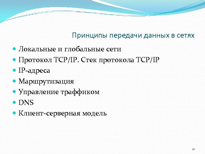 Принципы передачи данных в сетях Локальные и глобальные сети Протокол TCP/IP. Стек протокола TCP/IP