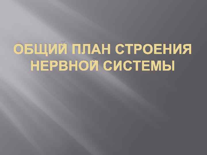 ОБЩИЙ ПЛАН СТРОЕНИЯ НЕРВНОЙ СИСТЕМЫ 