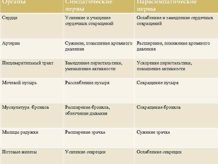 Органы Симпатические нервы Парасимпатические нервы Сердце сердечных сокращений Артерии Сужение, повышение кровяного Расширение, понижение