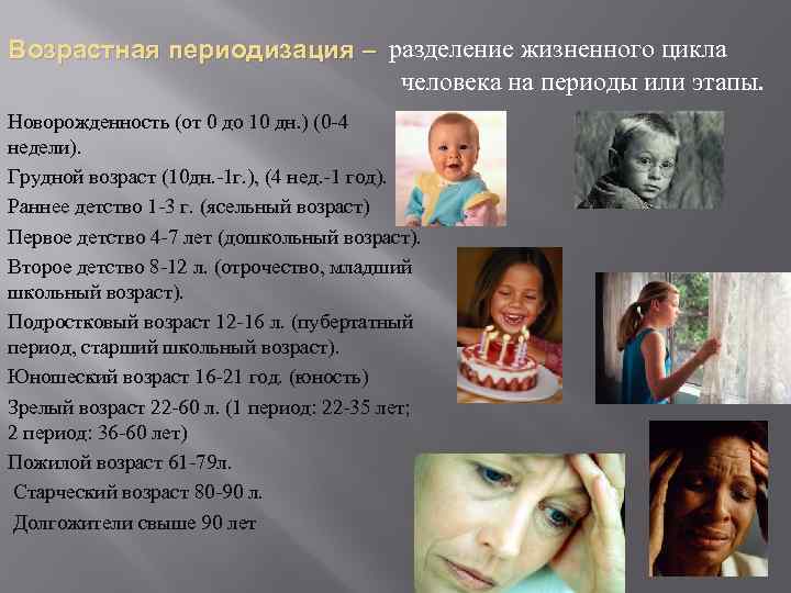  Возрастная периодизация – разделение жизненного цикла человека на периоды или этапы. Новорожденность (от