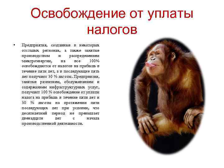 Освобождение от уплаты налогов • Предприятия, созданные в некоторых отсталых регионах, а также занятые