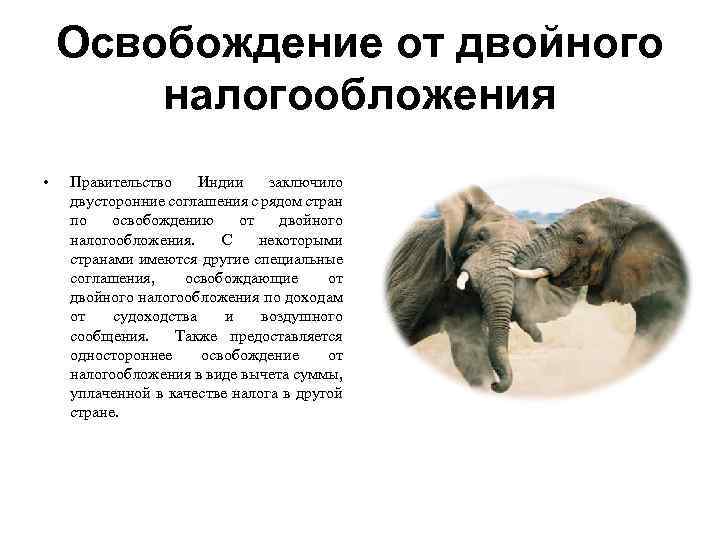 Освобождение от двойного налогообложения • Правительство Индии заключило двусторонние соглашения с рядом стран по