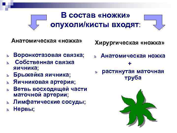 В состав «ножки» опухоли/кисты входят: Анатомическая «ножка» ь ь ь ь Воронкотазовая связка; Собственная