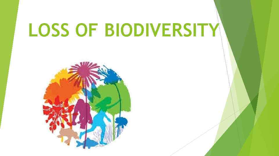 LOSS OF BIODIVERSITY 